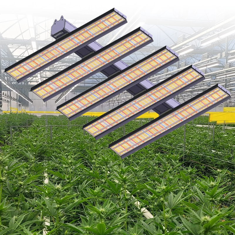 Plant lighting: providing an ideal light environment for plant growth