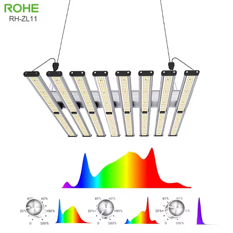How to Choose the Right Grow Light for Your Plants