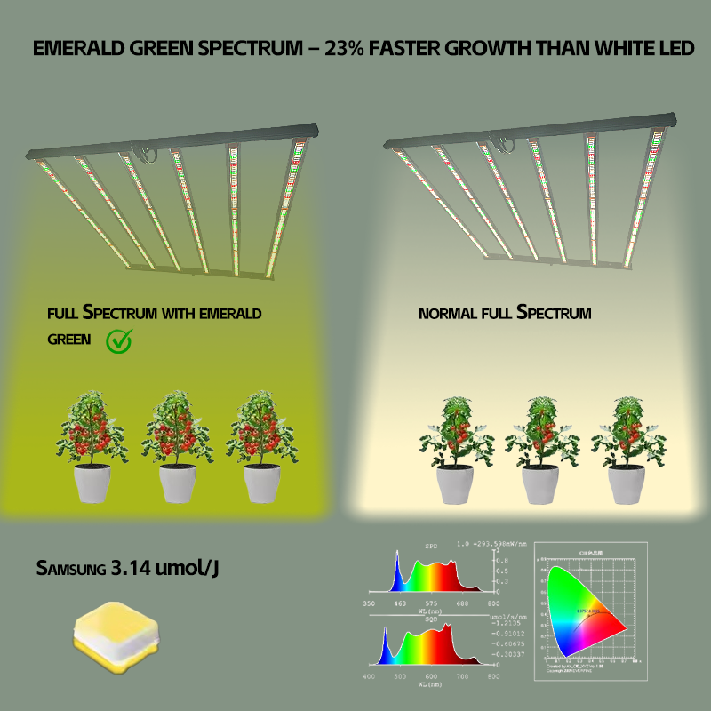 Why Emerald Green？