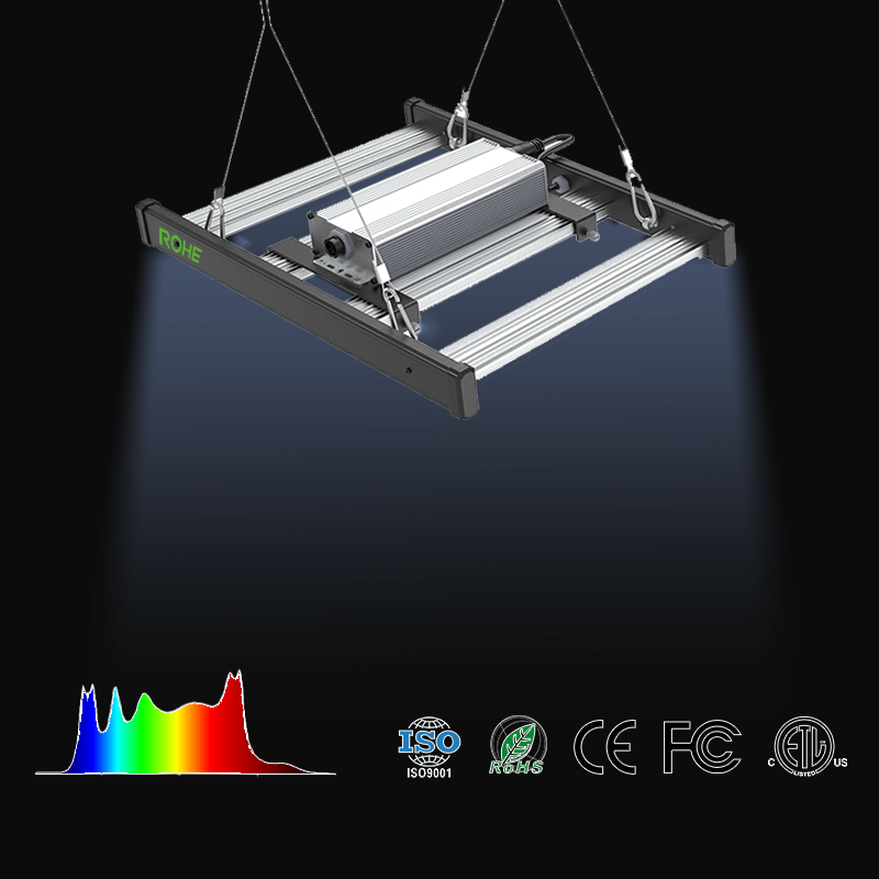 2026 ROHE Revolutionary Spectrum Technology Redefines Plant Cultivation Lighting