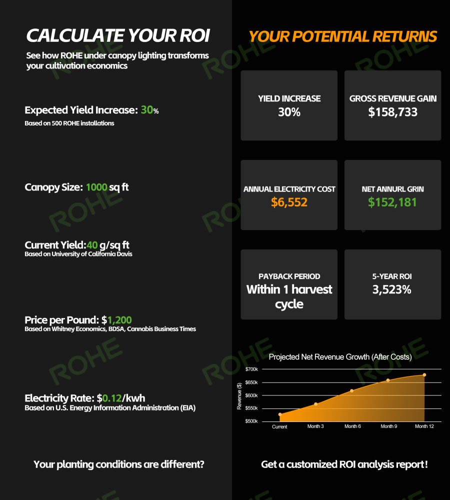 Maximize Your Cannabis Yields with ROHE Under Canopy LED Grow Lights: A Data-Driven ROI Analysis