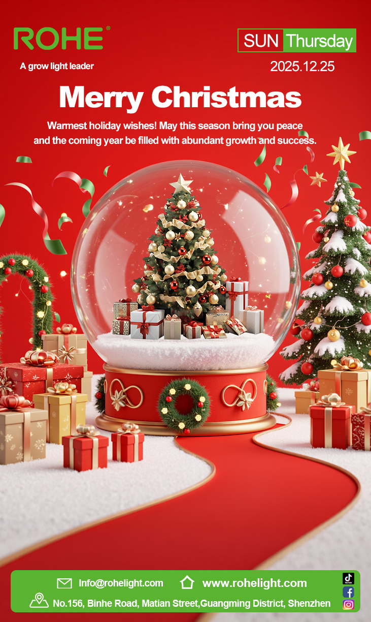 A Luminous Christmas: Celebrating Growth and Light in 2025