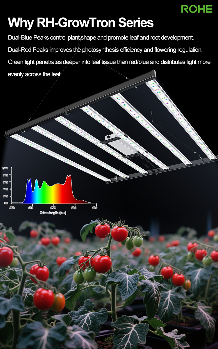 The Future of Indoor Growing is Here: Introducing the RH-GrowTron ...