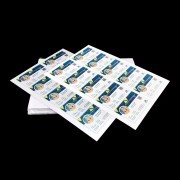 Printable PVC Dragon Sheet, ID Card Making Material, A4 Size Inkjet Blank Sheets, Student ID Material