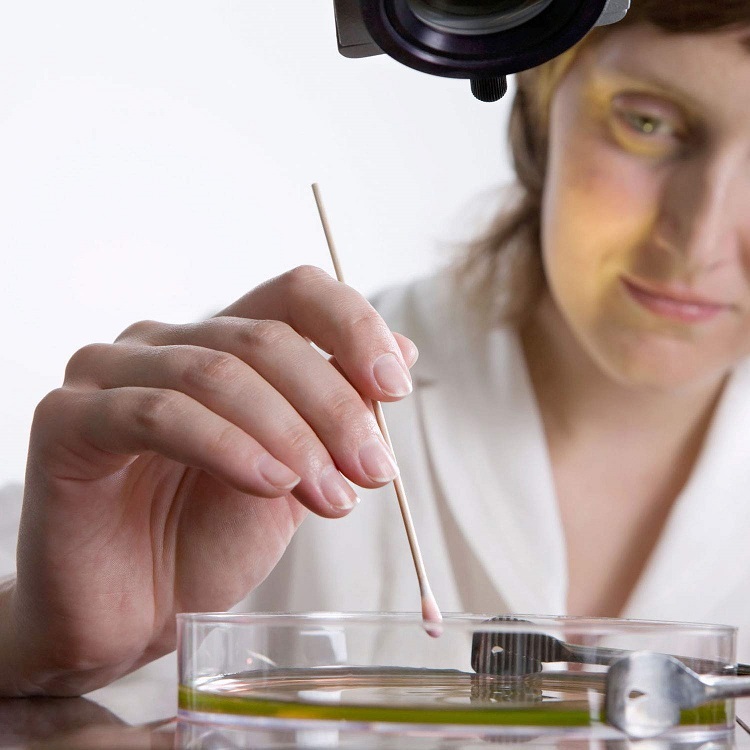 What Is a Cotton-Tipped Applicator Used For? An In-Depth Look at Its Versatile Applications Cotton-Tipped Applicator