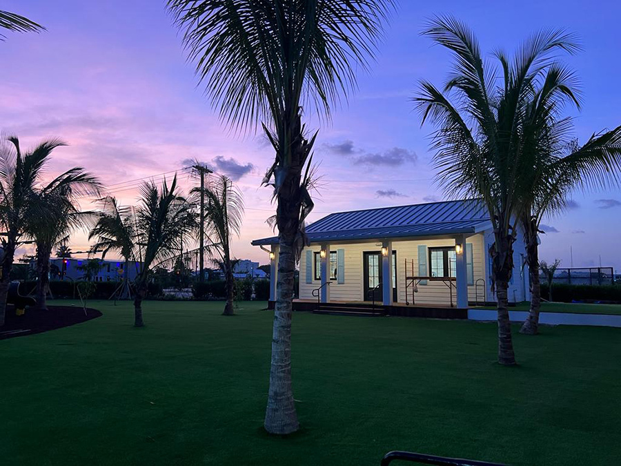 Artificial Turf Cost Factors