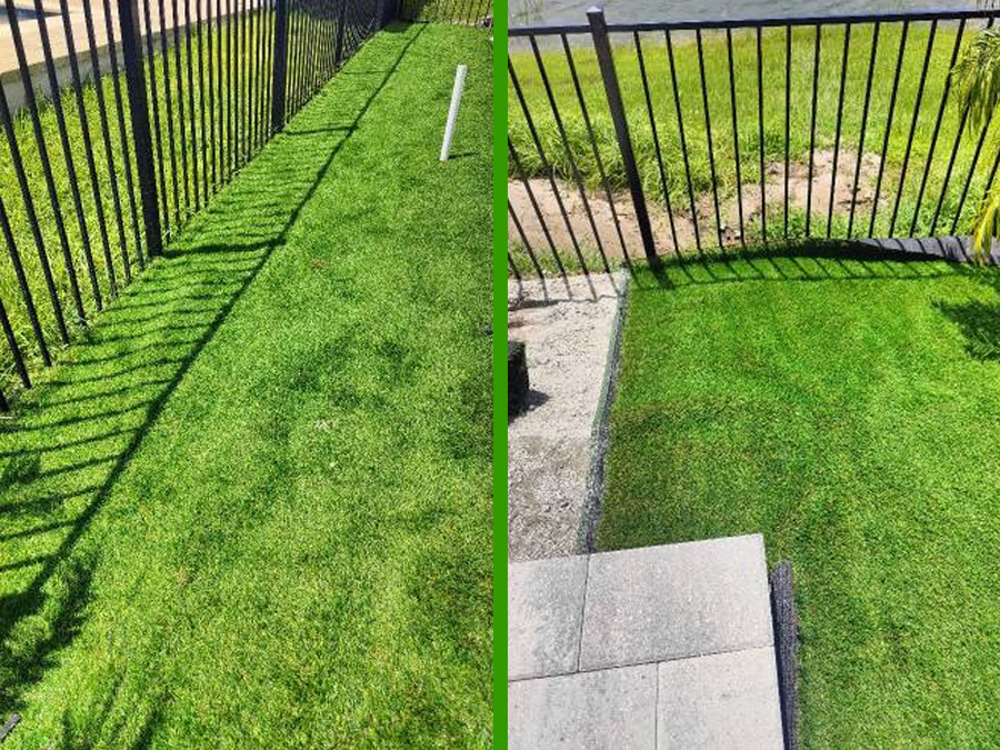 Buying Fake Grass For Your Home