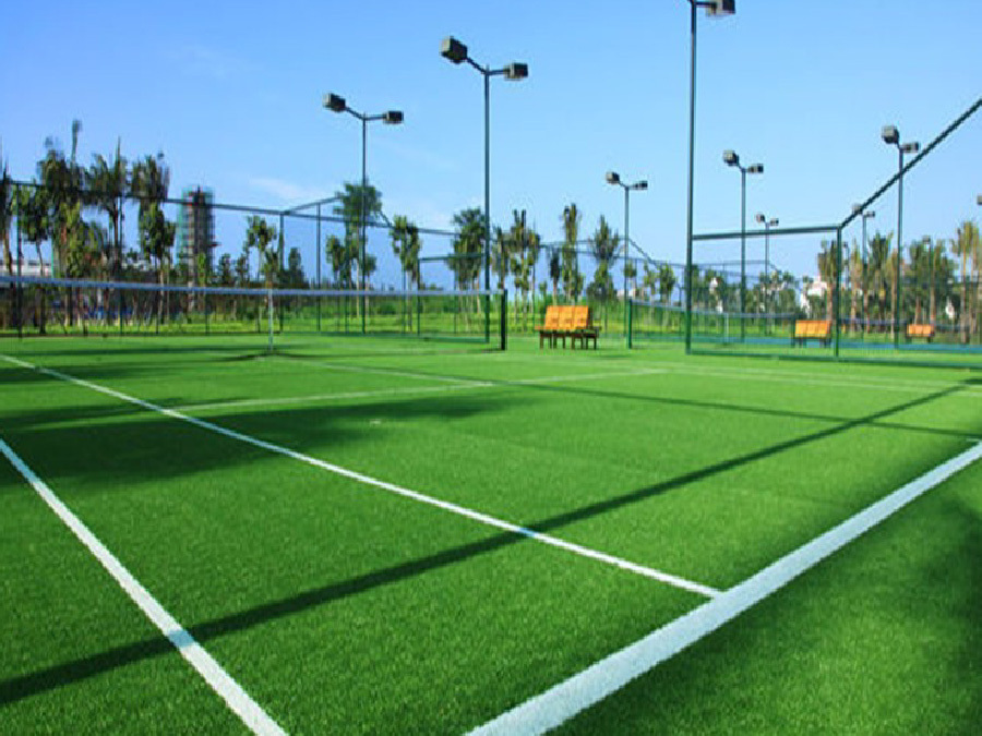Choosing and Maintaining a Soccer Field