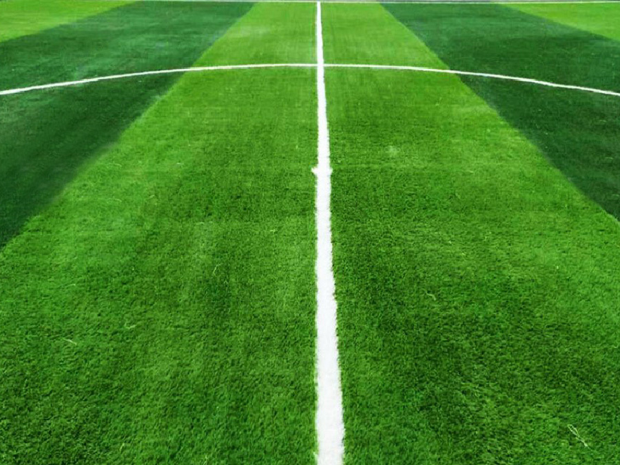 Maintaining a Football Field