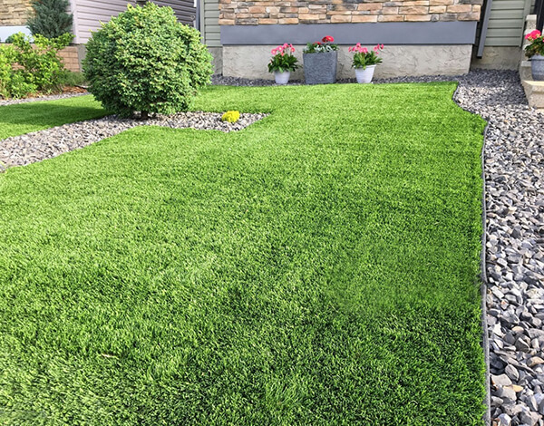 Complete Guide to Installing and Maintaining Artificial Synthetic Grass in Summer: Create a Beautiful and Durable Landscape for Your Garden Yard