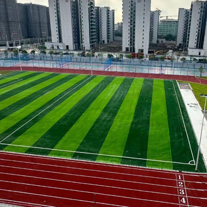 Football Ground Grass