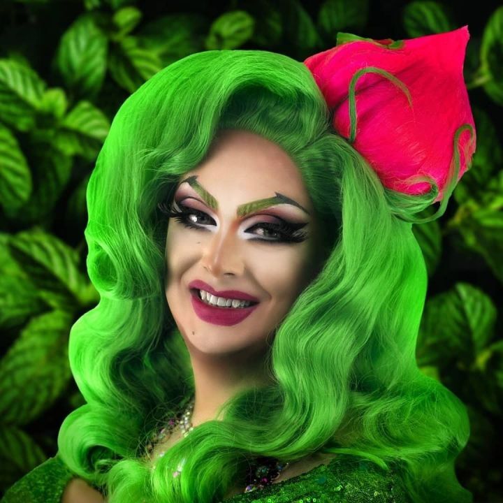 Costume Wig Green Drag Wig Cindy Style GROUCH Girl Costume Wig Who Adult Bright Green Costume Wig Green Drag Wig Cindy Style GROUCH Girl Costume Wig Who Adult Bright Green