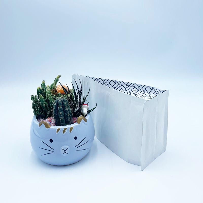 3 Types of Coffee Bean Packaging