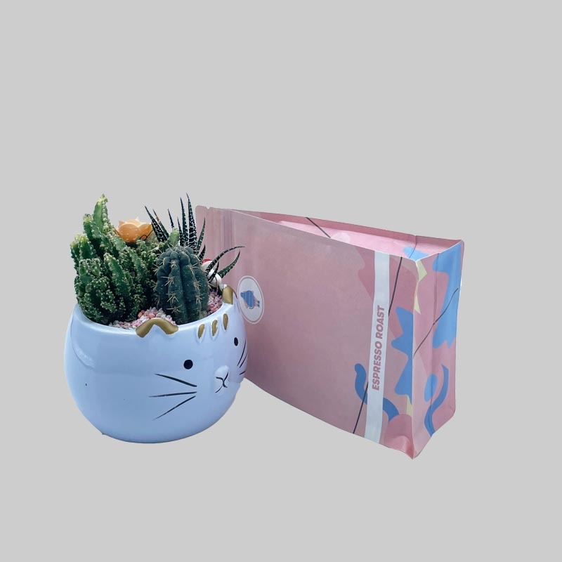 Custom creative biodegradable coffee packaging bag Custom creative compostable coffee packaging bag coffee packaging bag,compostable coffee packaging,biodegradable coffee bags