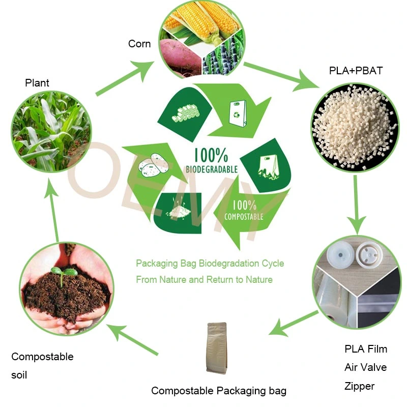 Compostable Coffee Bags Featuring Degradable Valve Environmentally Safe  