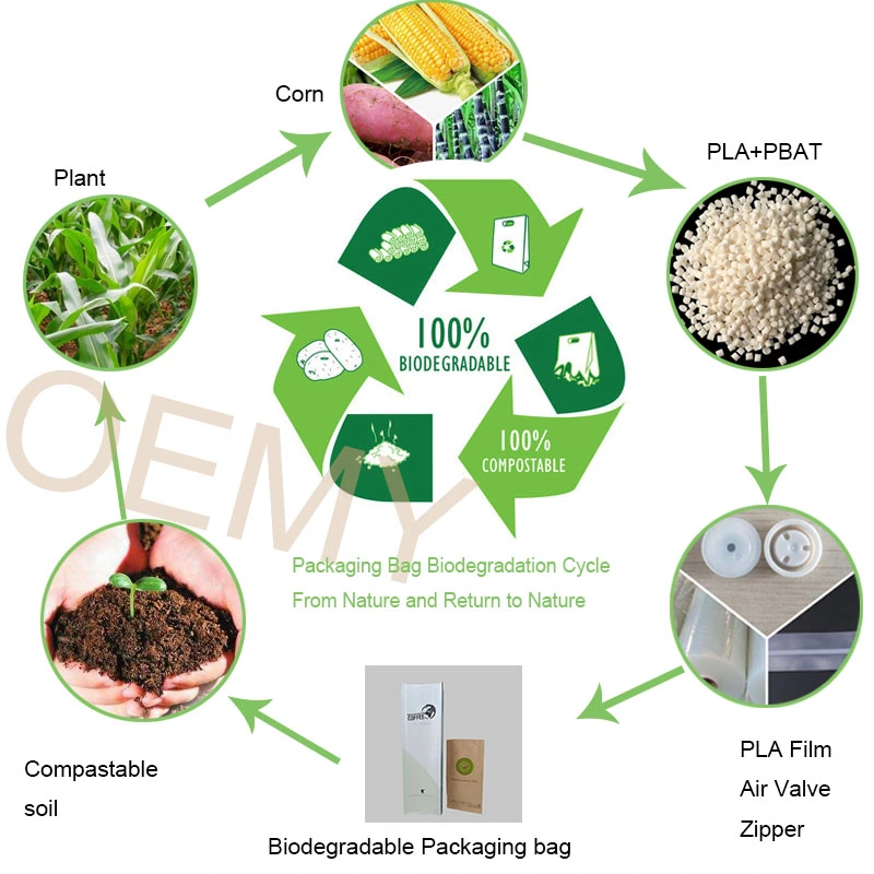 Compostable Custom Coffee Bags Eco Paper Packaging Solution