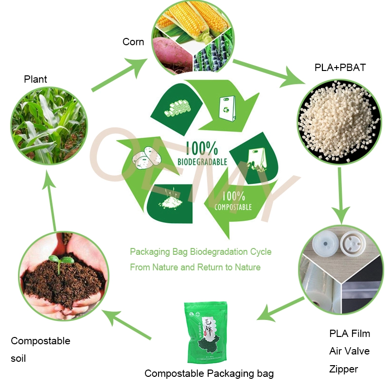  Sustainable Custom Printed Tea Bags Biodegradable Material  