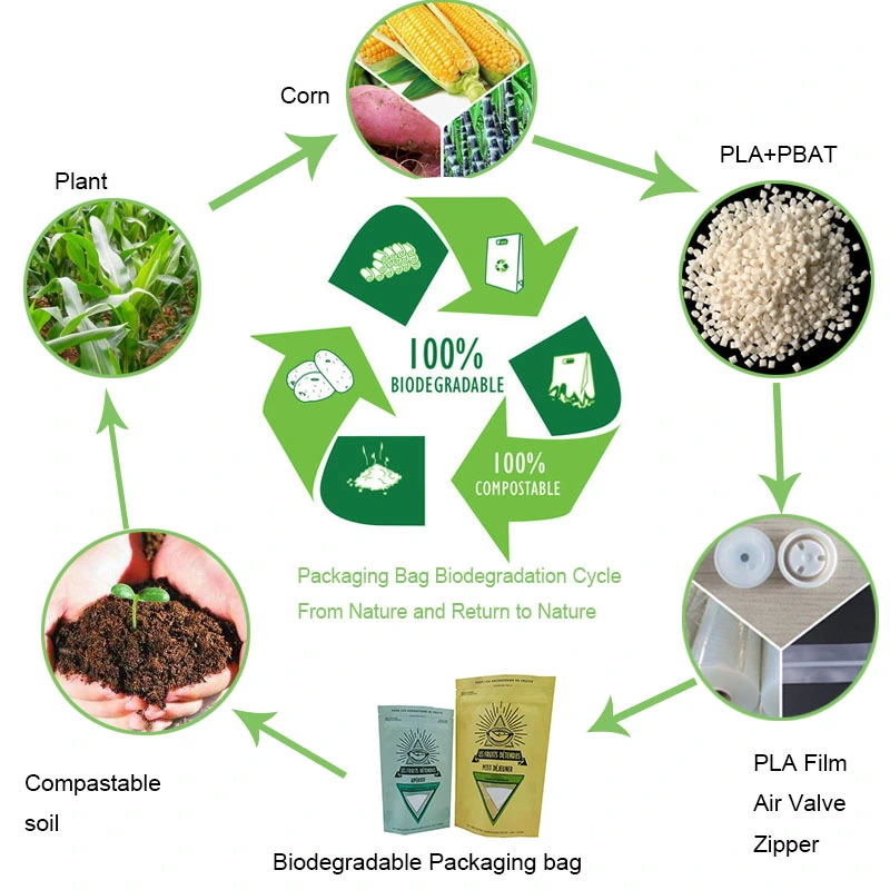 Biodegradable Dry Fruit Bags Sustainable Compostable Packaging Manufacturer  