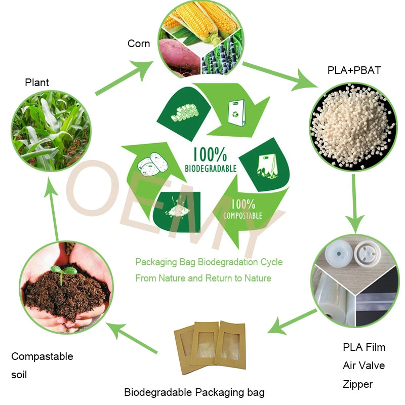 Custom Compostable Packaging Wholesale Kraft Coffee Bags with Transparent Window Compostable Packaging Kraft Coffee Bags with Transparent Window compostable packaging bags,coffee bags,custom kraft paper packaging bags,biodegradable packaging bags,custom food-grade packaging bags