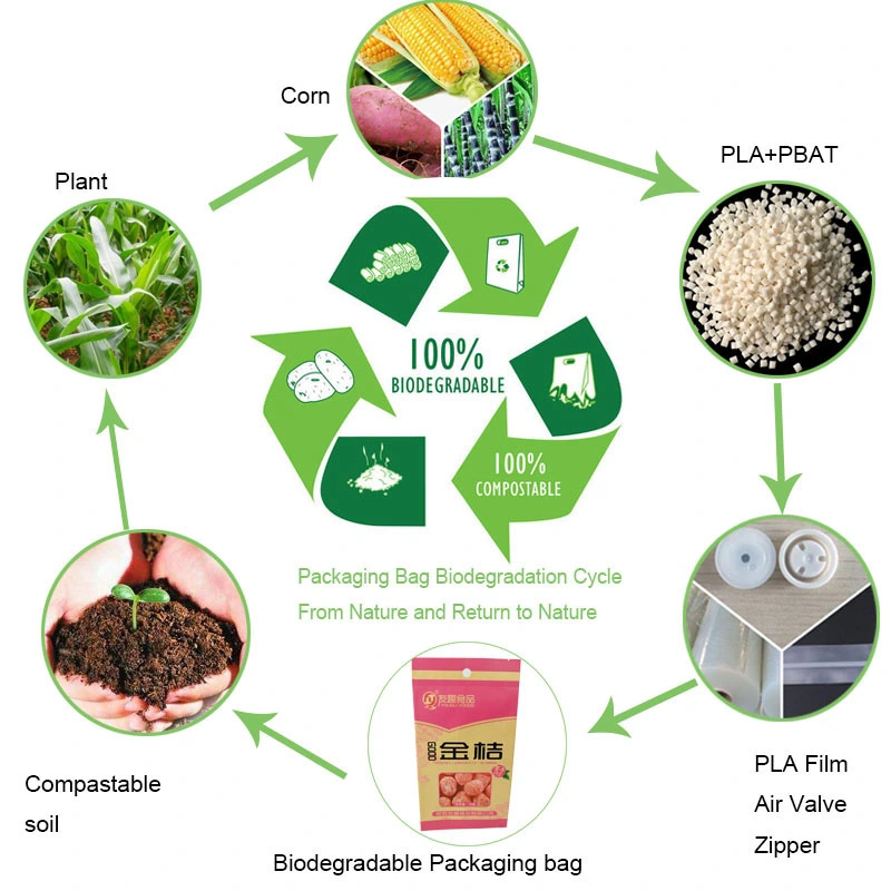 Personalized Kraft Paper Food Packaging Biodegradable  