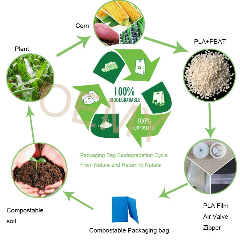 Biodegradable Three Side Seal Pouches Custom Manufacturer  