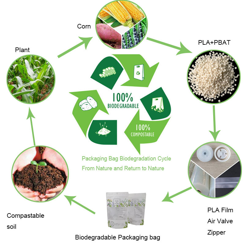 Premium Biodegradable Zip Lock Bags Supplier China  