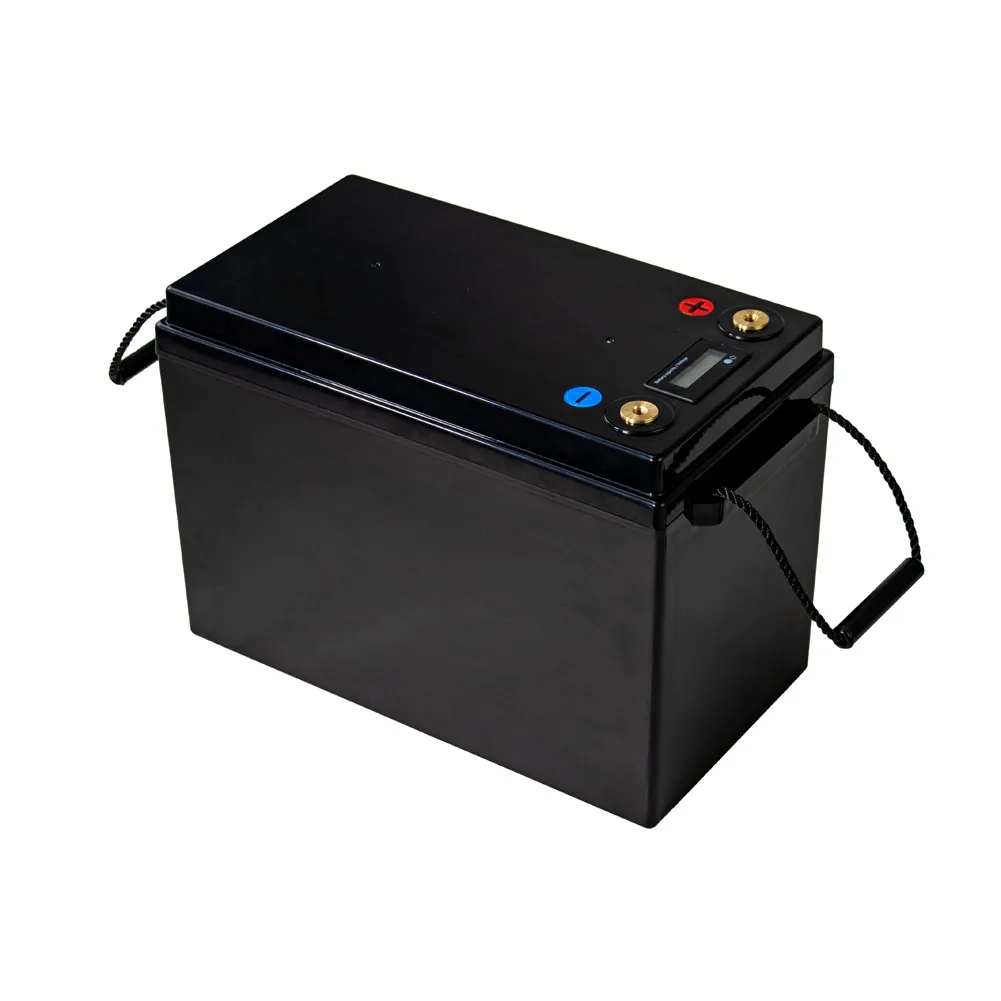 12V 24V 48V 60V LiFePO4 Lithium Iron Phosphate Battery With BMS 40 80 100 120 240 320Ah For Golf Cart EV RV Solar Energy Storage