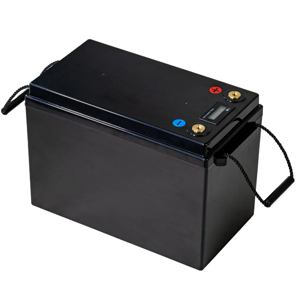 12V 24V 48V 60V LiFePO4 Lithium Iron Phosphate Battery With BMS 40 80 100 120 240 320Ah For Golf Cart EV RV Solar Energy Storage