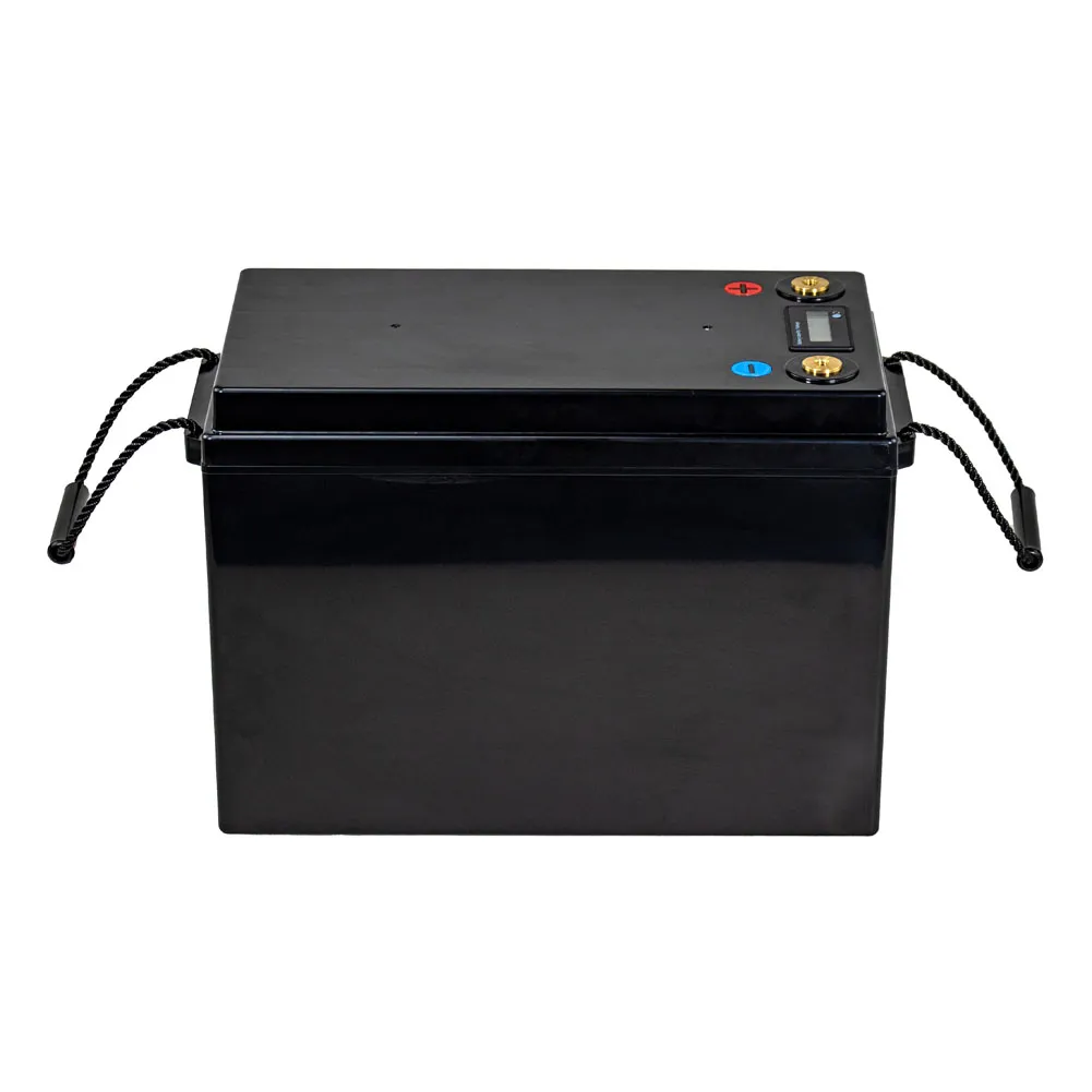 12V 24V 48V 60V LiFePO4 Lithium Iron Phosphate Battery With BMS 40 80 100 120 240 320Ah For Golf Cart EV RV Solar Energy Storage