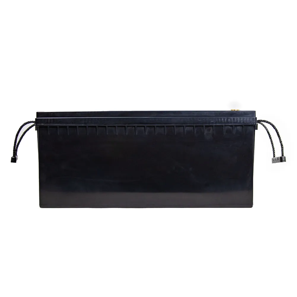 12V 24V 48V 60V LiFePO4 Lithium Iron Phosphate Battery With BMS 40 80 100 120 240 320Ah For Golf Cart EV RV Solar Energy Storage