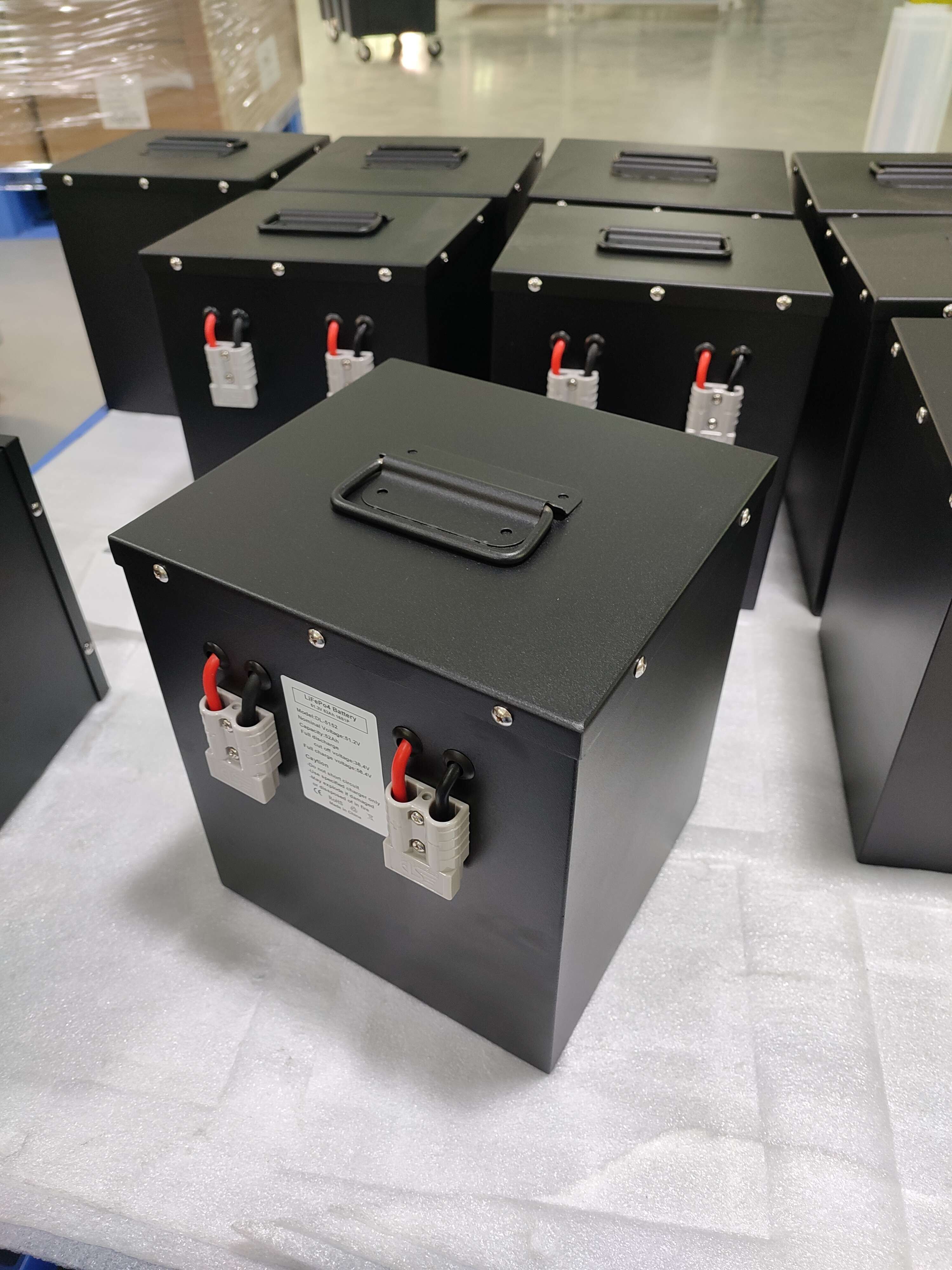 48v lifepo4 battery customized 51.2v 50ah Lithium Iron Phosphate 2.5kwh bicycle taxi e rickshaw battery