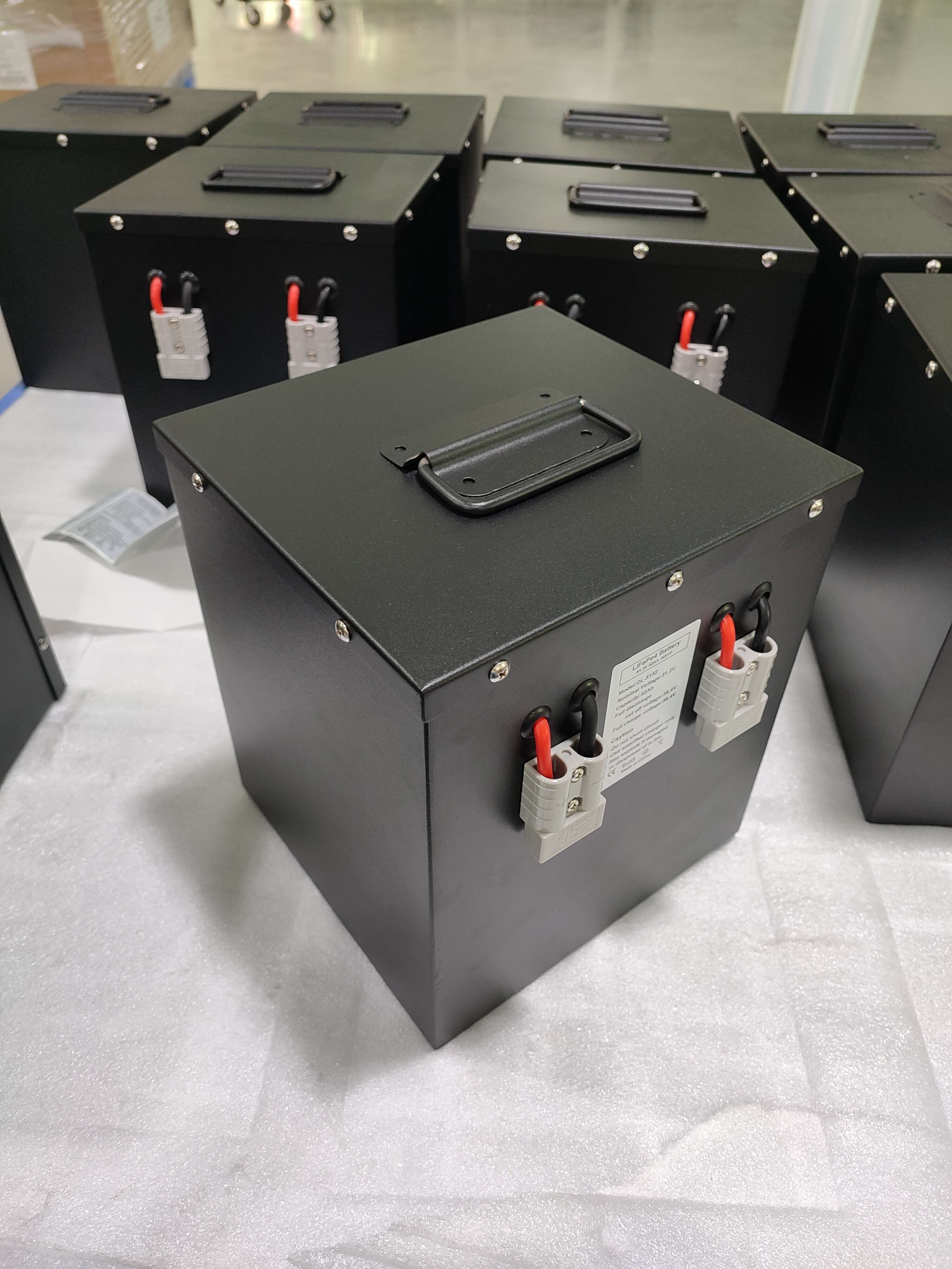 48v lifepo4 battery customized 51.2v 50ah Lithium Iron Phosphate 2.5kwh bicycle taxi e rickshaw battery