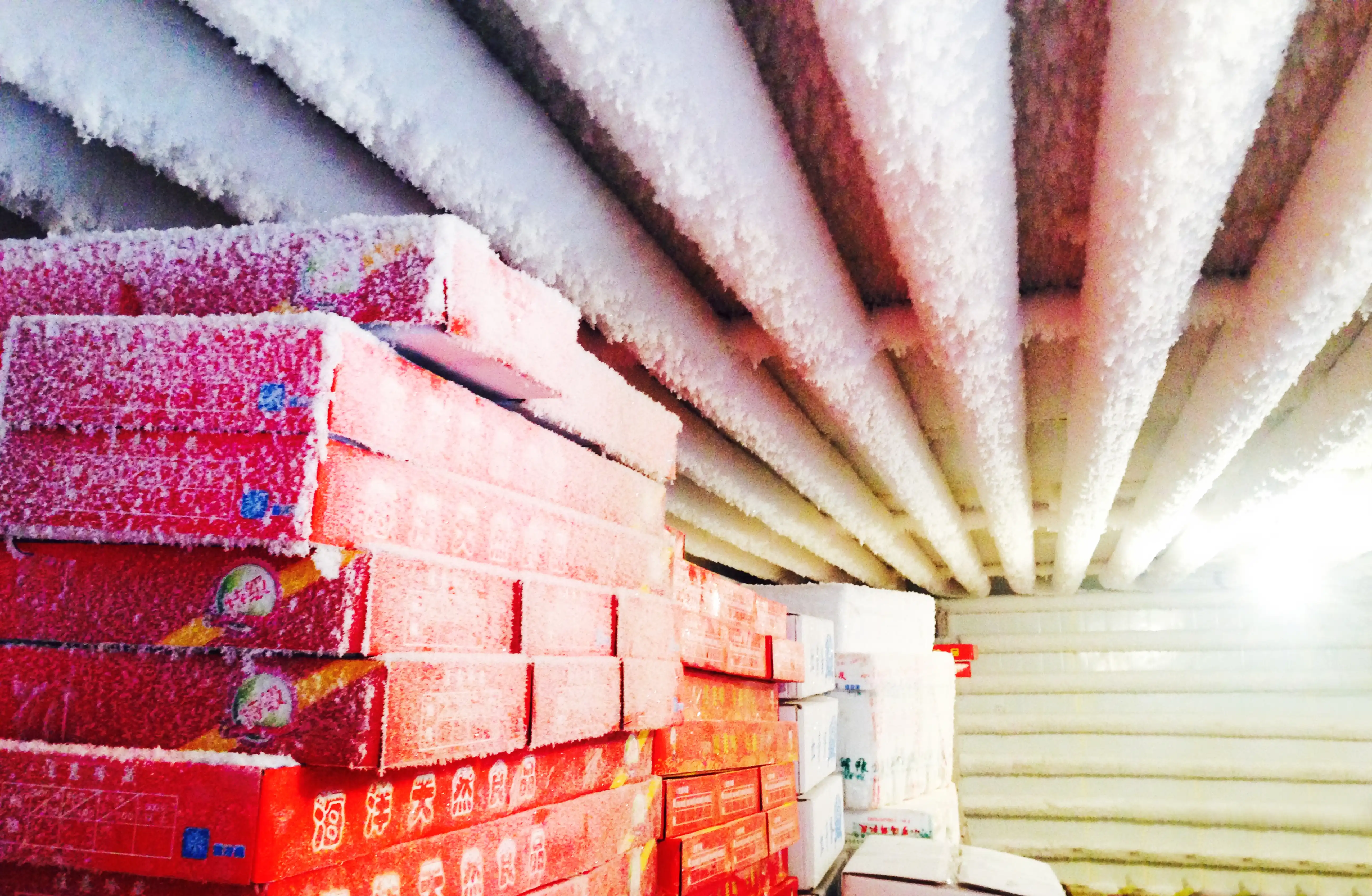 Walk In Freezer