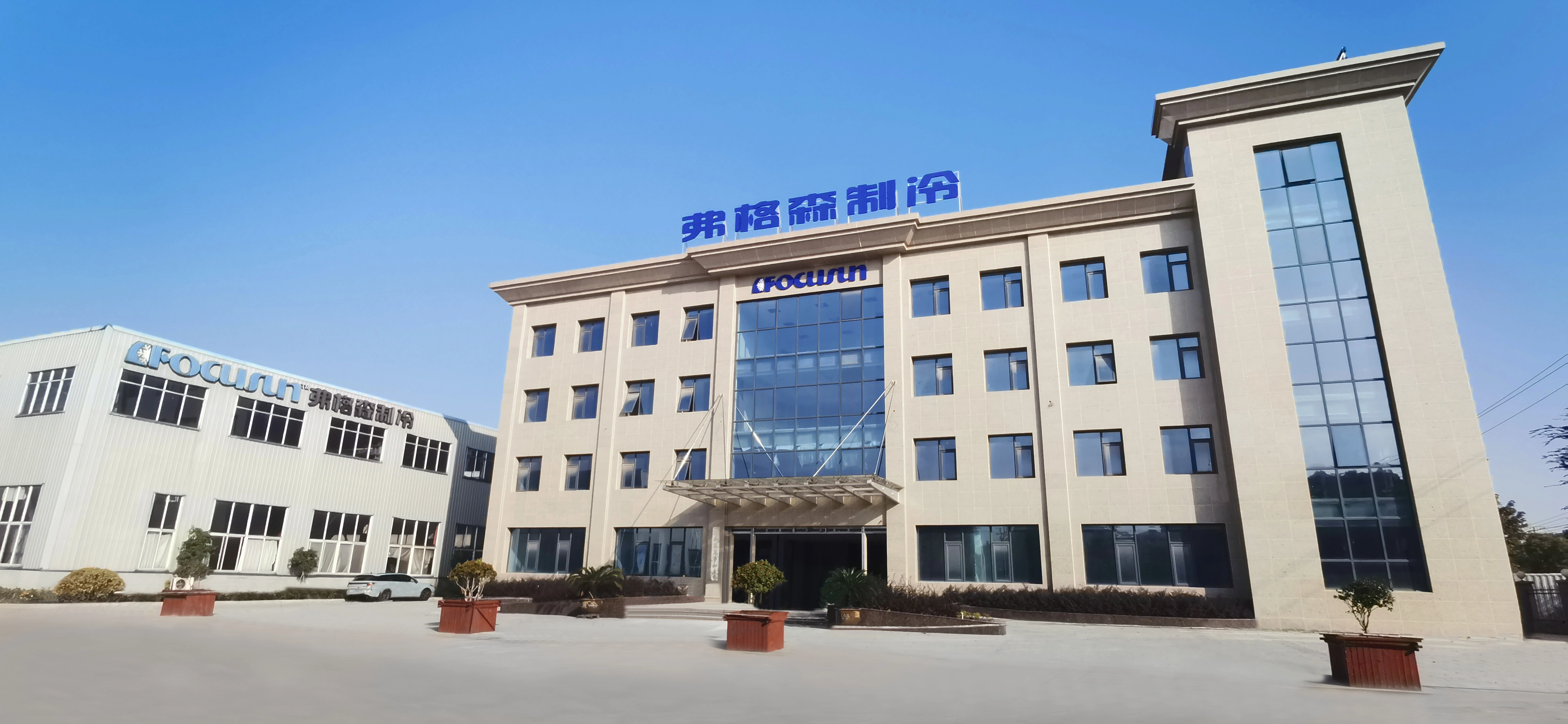 Company Profile