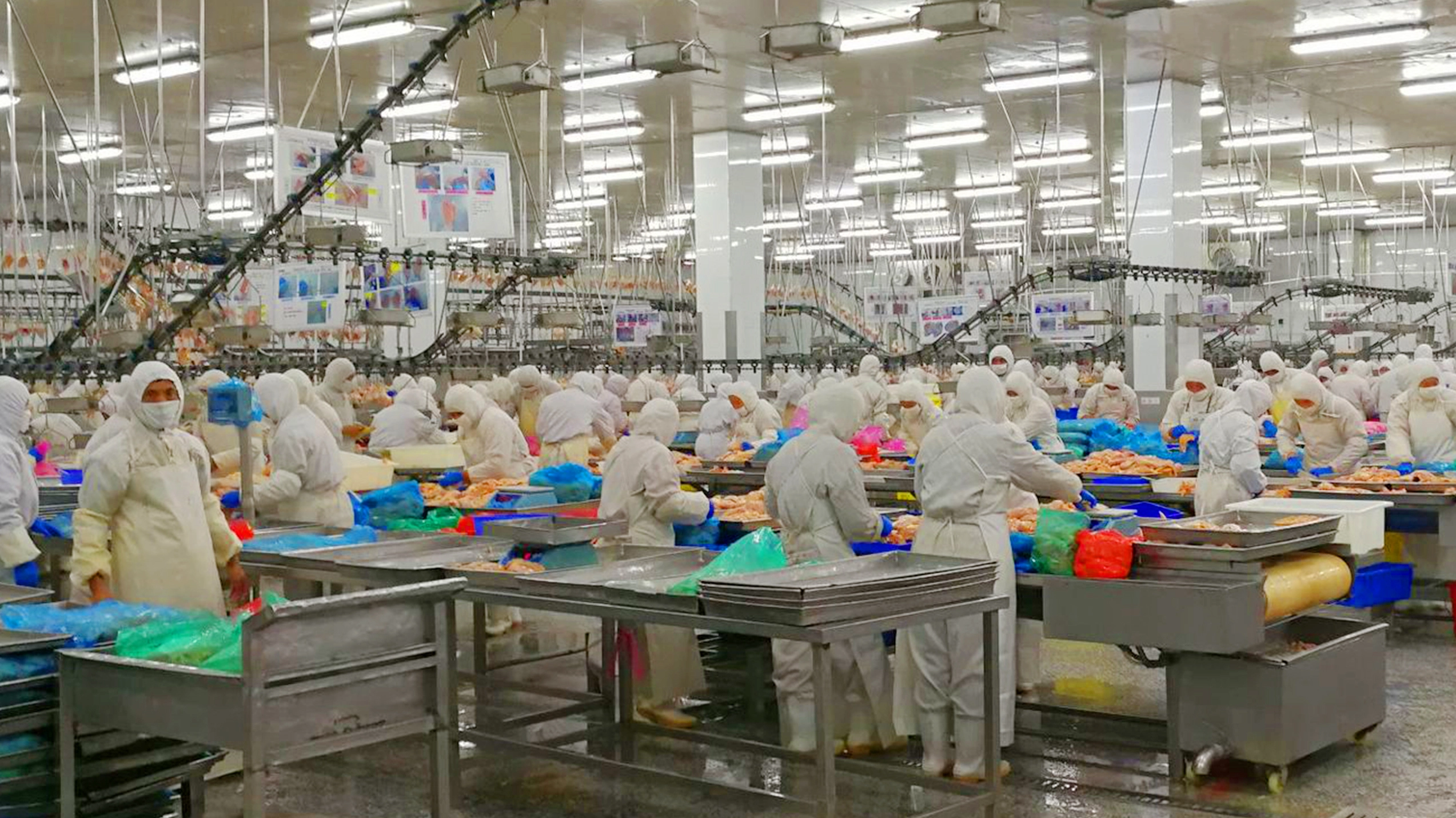 Food Processing