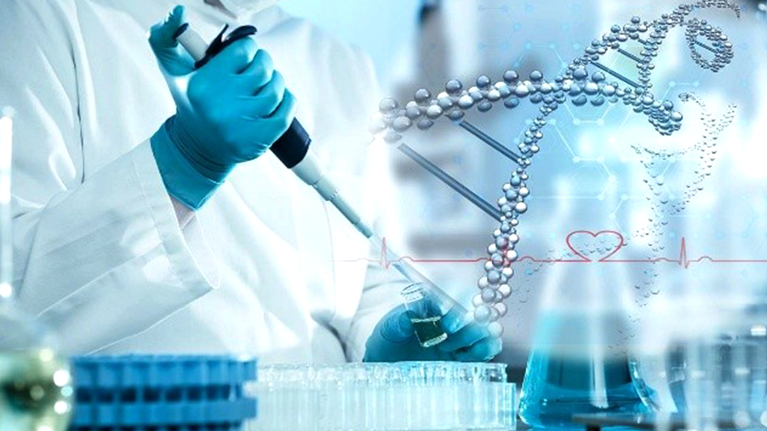 Pharmacy And Laboratory