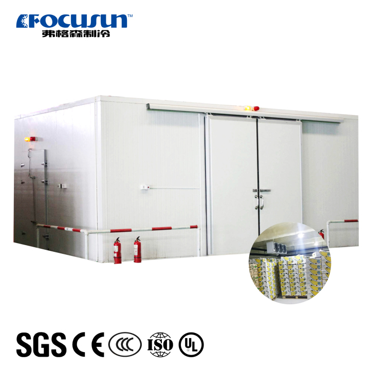 Focusun traditional assembled cold storage walk-in refrigeration medicine Focusun traditional assembled cold storage walk-in refrigeration medicine Cold storage building,refrigerated storage area,ice storage facility,cold room for pharmaceuticals,industrial cold storage unit,cold storage for meat products,high-capacity cold room,China cold storage supplier
