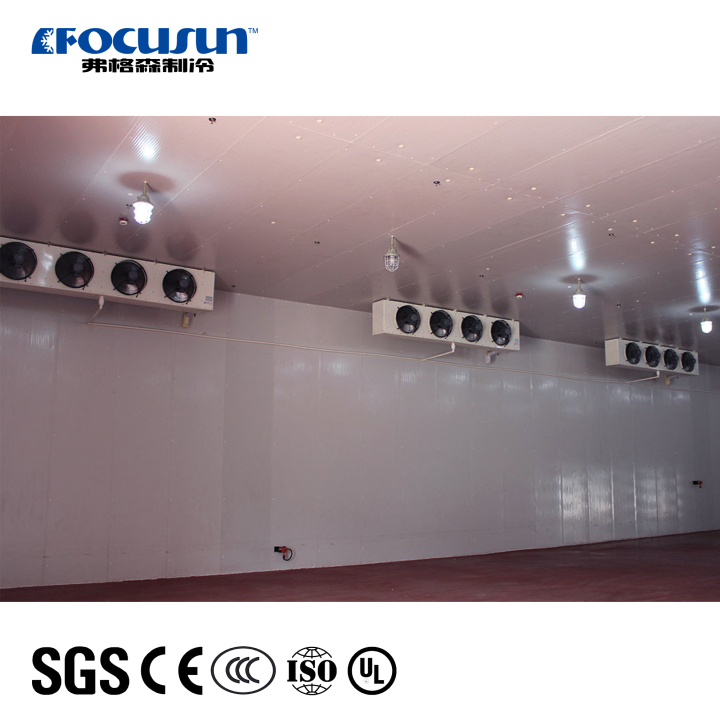 Focusun traditional assembled cold storage walk-in refrigeration medicine Focusun traditional assembled cold storage walk-in refrigeration medicine Cold storage building,refrigerated storage area,ice storage facility,cold room for pharmaceuticals,industrial cold storage unit,cold storage for meat products,high-capacity cold room,China cold storage supplier