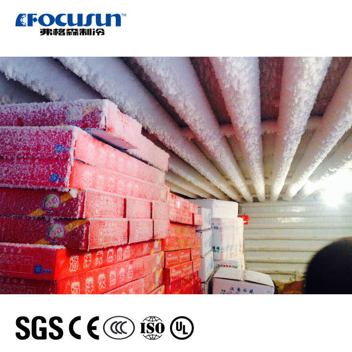 Focusun traditional assembled cold storage walk-in refrigeration medicine Focusun traditional assembled cold storage walk-in refrigeration medicine Cold storage building,refrigerated storage area,ice storage facility,cold room for pharmaceuticals,industrial cold storage unit,cold storage for meat products,high-capacity cold room,China cold storage supplier