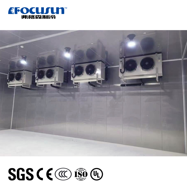Focusun traditional assembled cold storage walk-in refrigeration medicine Focusun traditional assembled cold storage walk-in refrigeration medicine Cold storage building,refrigerated storage area,ice storage facility,cold room for pharmaceuticals,industrial cold storage unit,cold storage for meat products,high-capacity cold room,China cold storage supplier