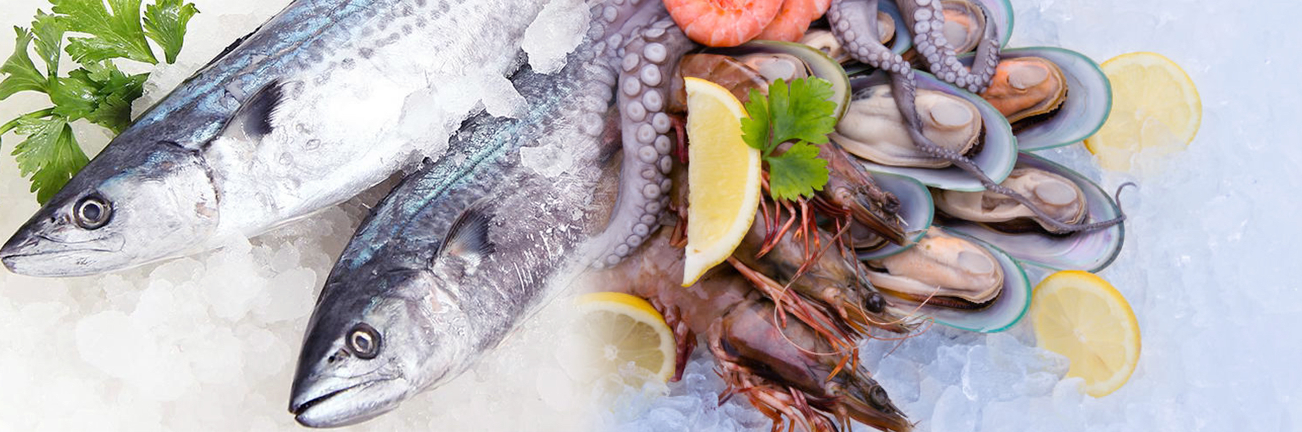 Brine Salt Water Block Ice Machine 10 Tons Power Saving Food Processing India