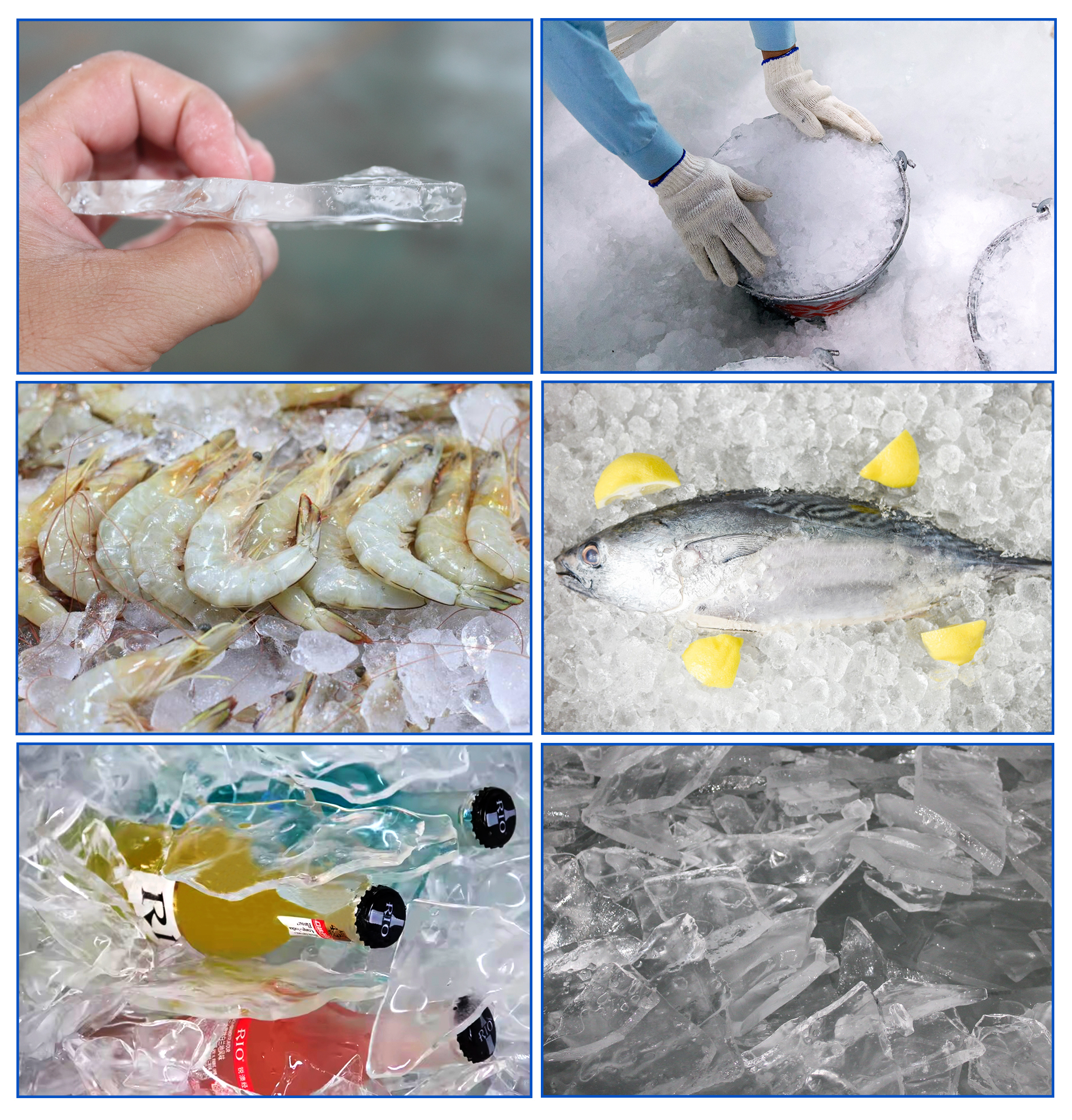 Factory Manufacturing Automatic Plate Ice Maker 10 T/24H Fisheries Ice Business