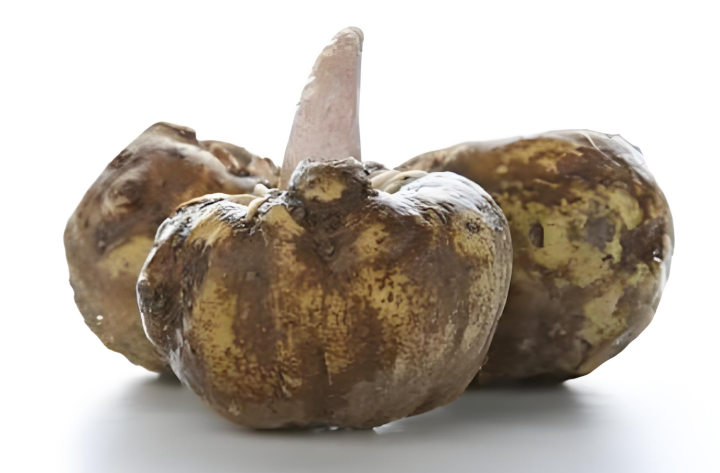 PhytoCeramides  