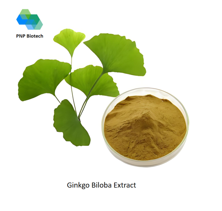 Ginkgo Biloba Extract