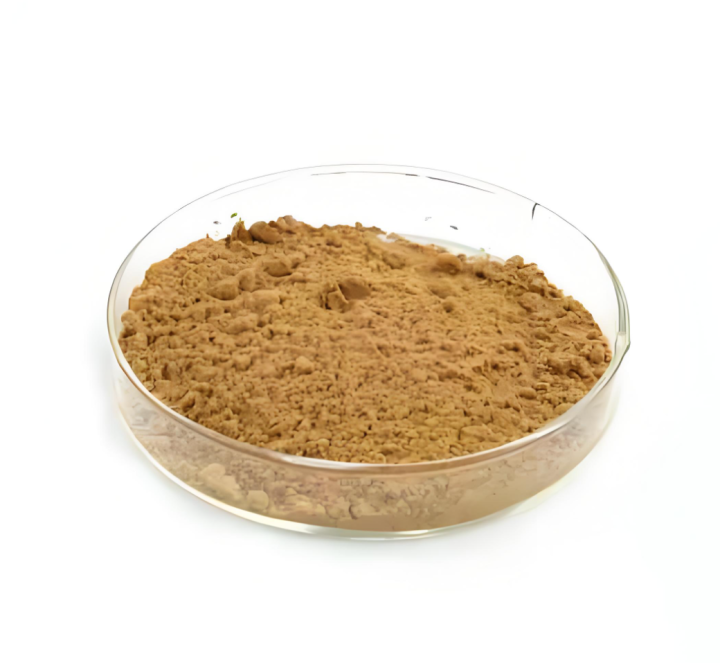 Ginkgo Biloba Extract