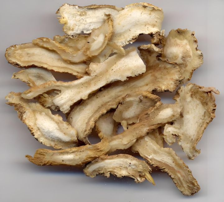Ligustilide