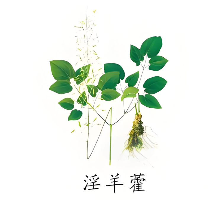 Baohuoside I