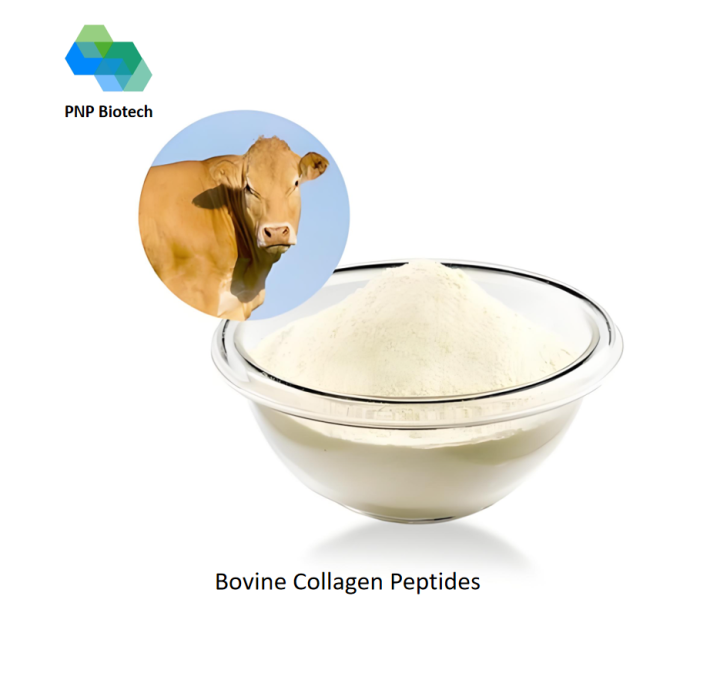 Bovine Collagen Peptides
