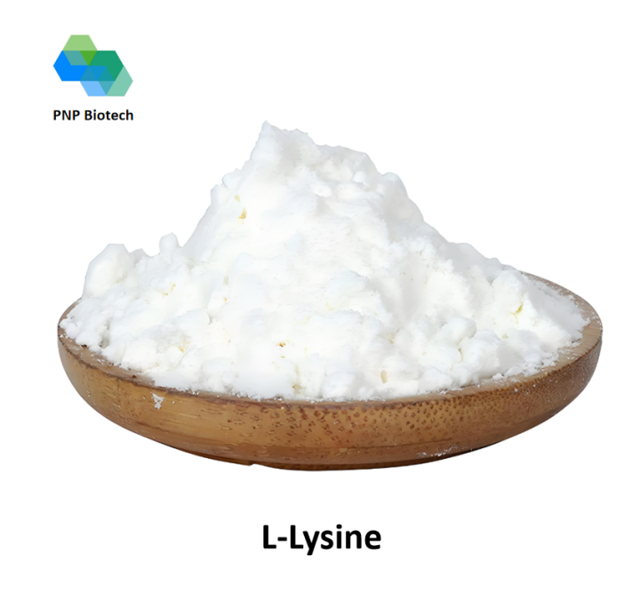 L-Lysine  