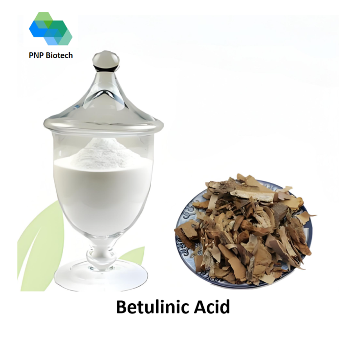 Betulinic Acid